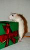 DSC_0279~5.jpg