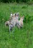 DSC_0281~11.jpg
