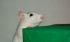 DSC_0281~7.jpg