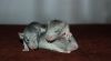 DSC_0281~8.jpg
