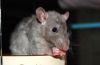 DSC_0284~5.jpg