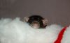DSC_0285~0.jpg