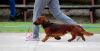 DSC_0286~14.jpg