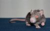 DSC_0288~6.jpg