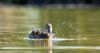 DSC_0291~4.jpg