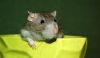 DSC_0296~5.jpg