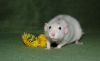DSC_0297~0.jpg