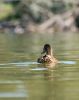 DSC_0297~3.jpg