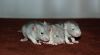 DSC_0297~7.jpg