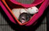 DSC_0302~3.jpg
