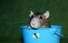 DSC_0302~4.jpg