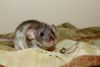 DSC_0302~6.jpg