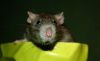 DSC_0305~4.jpg