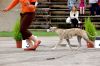 DSC_0305~6.jpg
