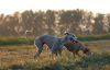 DSC_0306~12.jpg
