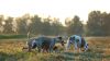 DSC_0307~7.jpg