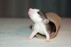 DSC_0309~4.jpg