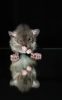 DSC_0309~5.jpg