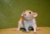 DSC_0312~7.jpg