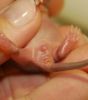 DSC_0314~5.jpg