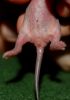 DSC_0316~2.jpg