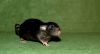 DSC_0316~5.jpg