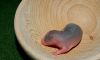 DSC_0319~2.jpg
