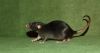 DSC_0320~4.jpg