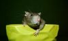 DSC_0324~4.jpg