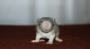 DSC_0329~4.jpg