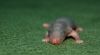 DSC_0331~4.jpg