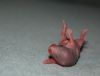 DSC_0338~4.jpg