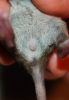 DSC_0338~5.jpg