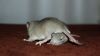 DSC_0341~5.jpg
