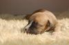 DSC_0341~7.jpg
