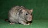 DSC_0343~6.jpg