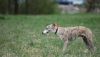 DSC_0343~7.jpg
