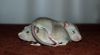 DSC_0344~4.jpg