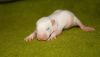 DSC_0346~4.jpg