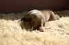 DSC_0349~16.jpg