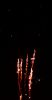 DSC_0350~5.jpg