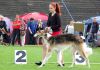 DSC_0353~4.jpg
