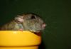 DSC_0354~3.jpg