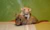 DSC_0361~3.jpg