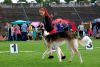 DSC_0368~6.jpg