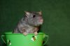 DSC_0369~6.jpg