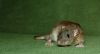 DSC_0371~5.jpg