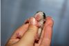 Filename=DSC_0372~3.jpg
Filesize=62KiB
Dimensions=1200x812
Date added=Aug 13, 2012 DSC_0372~3.jpg