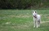 DSC_0378~6.jpg