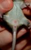 DSC_0384~4.jpg